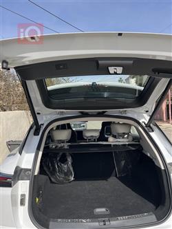 جیتۆر داشينگ